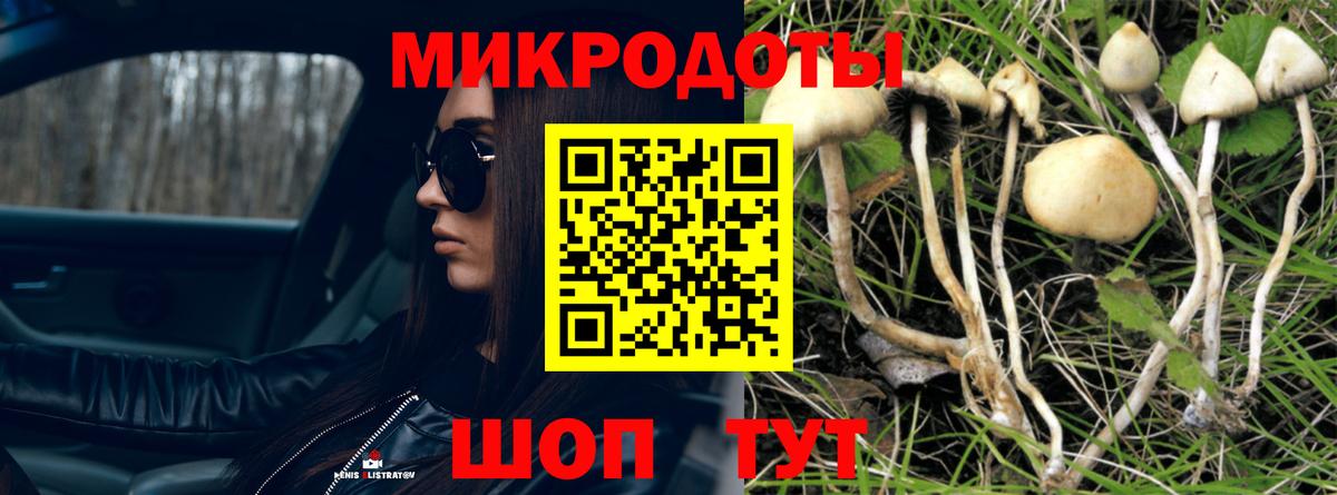 Псилоцибиновые грибы мицелий  Галлюциногенные грибы Psilocybine cubensis  Вход с VPN  Сочи 